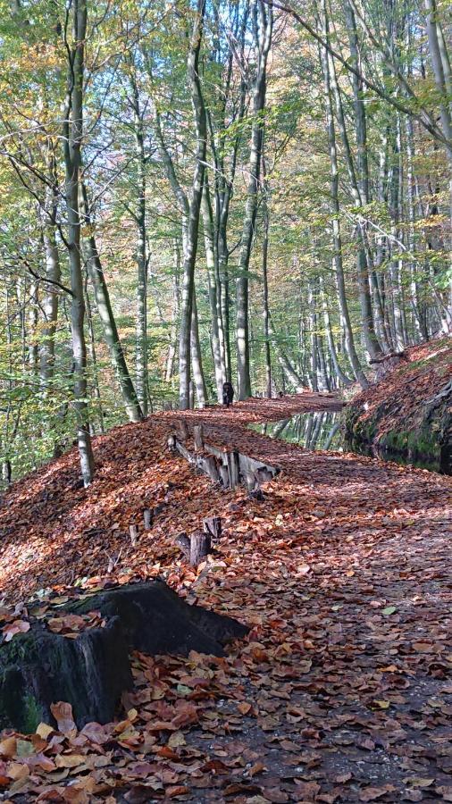 De Sprokkel Bed & Breakfast Milsbeek Bagian luar foto